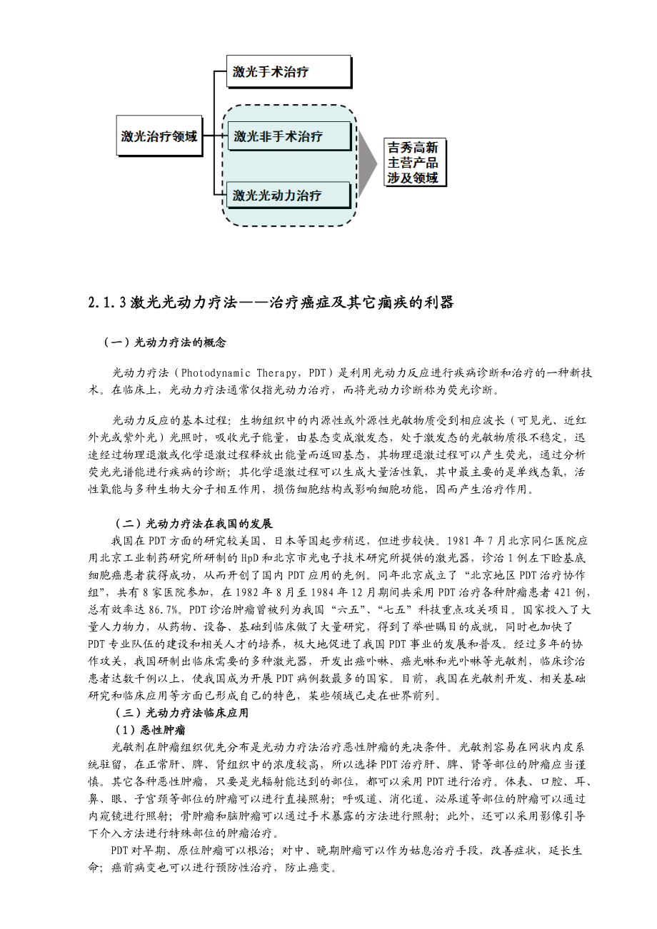 高新技术股份公司商业计划书.docx_第3页