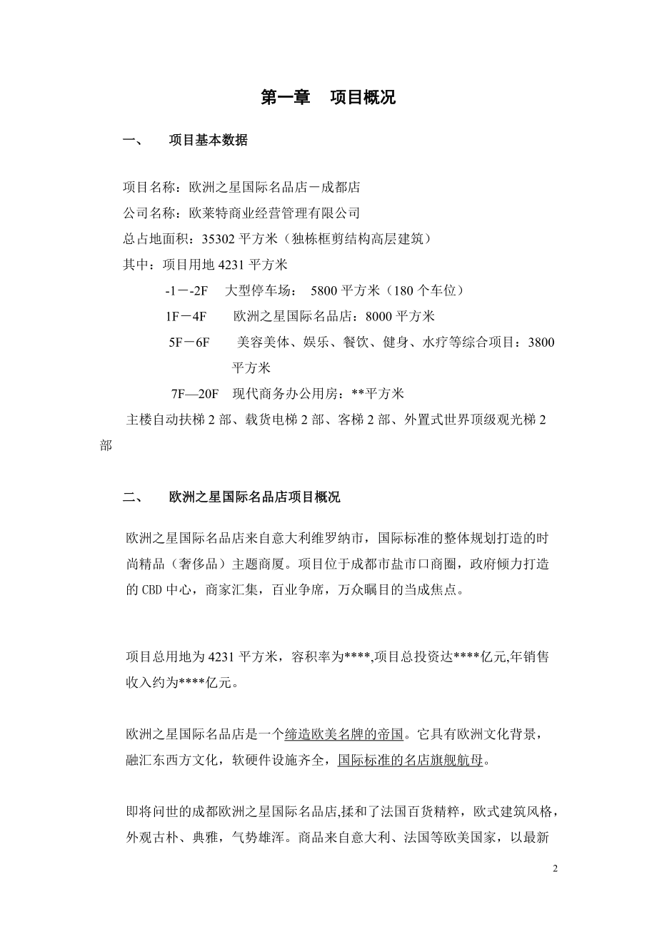 欧洲之星商业计划书1.docx_第2页