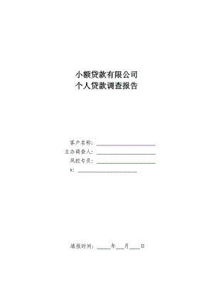 小额贷款公司个人贷款调查报告.docx