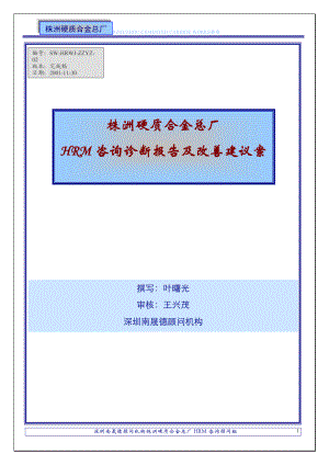 诊断报告与改善建议.docx