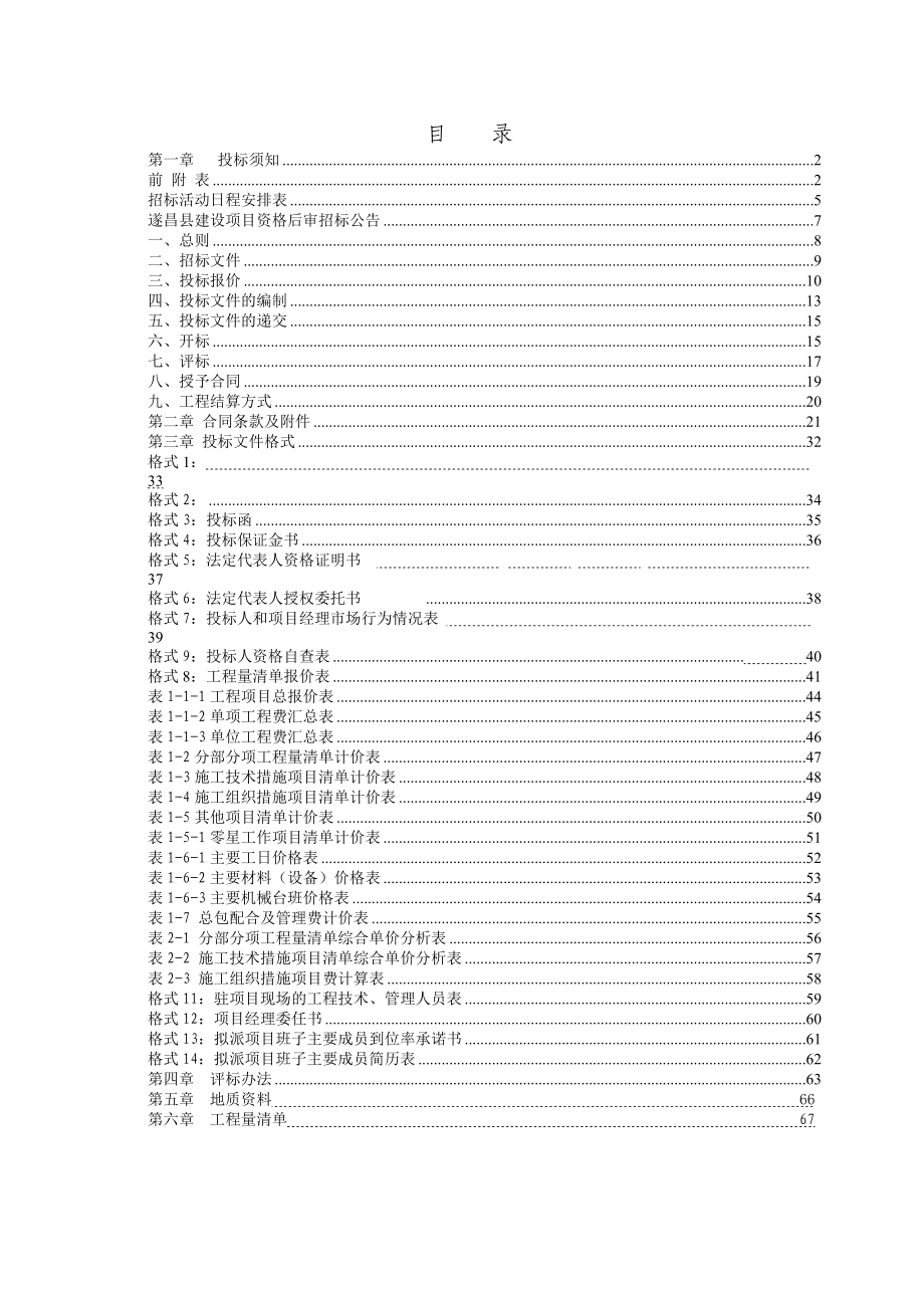 某县县城截污工程施工招标文件.docx_第2页