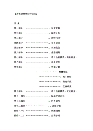 东坡金城商业计划书（DOC 31页）.docx