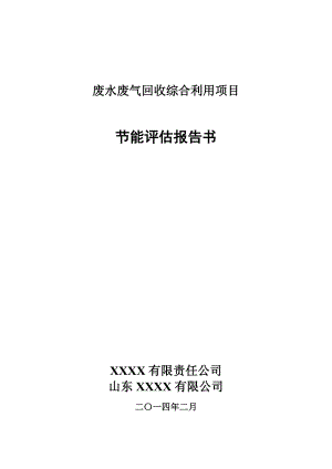 废水废气回收综合利用项目节能评估报告书.docx