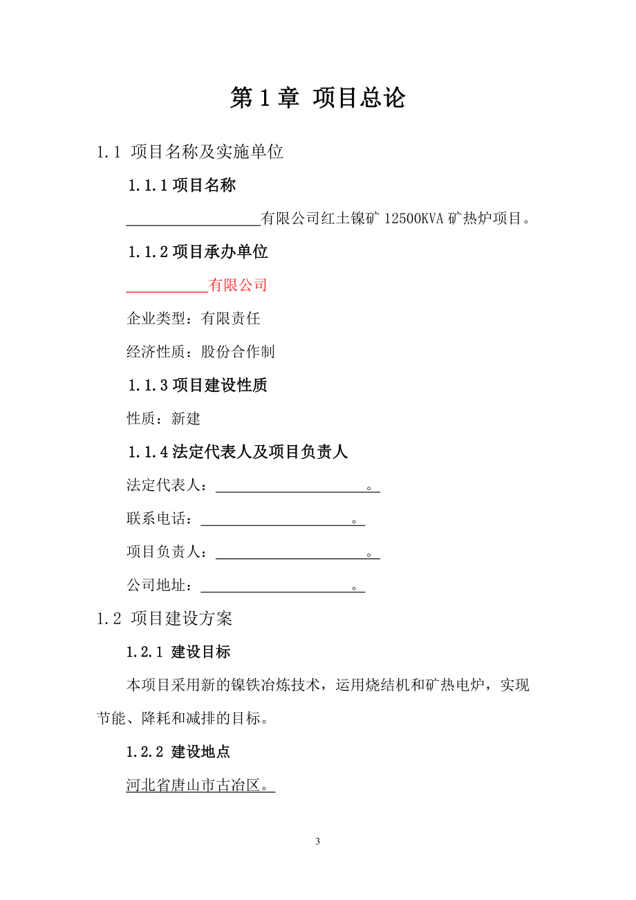 镍铁项目可行性研究报告.docx_第3页