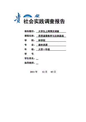 上网调查报告doc.docx