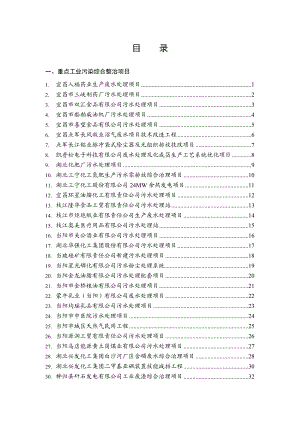 重点工业污染综合整治项目.docx