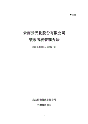 某咨询XXXX云天化股份有限公司绩效考核管理办法.docx