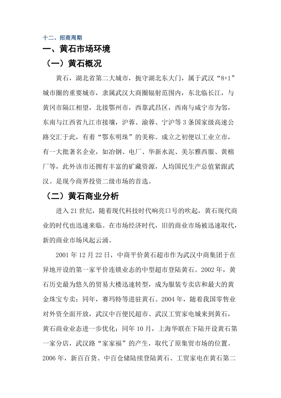 黄石家天下招商策划管理手册.docx_第2页