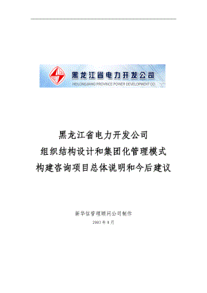 某电力公司组织设计和集团化管理模式咨询.docx