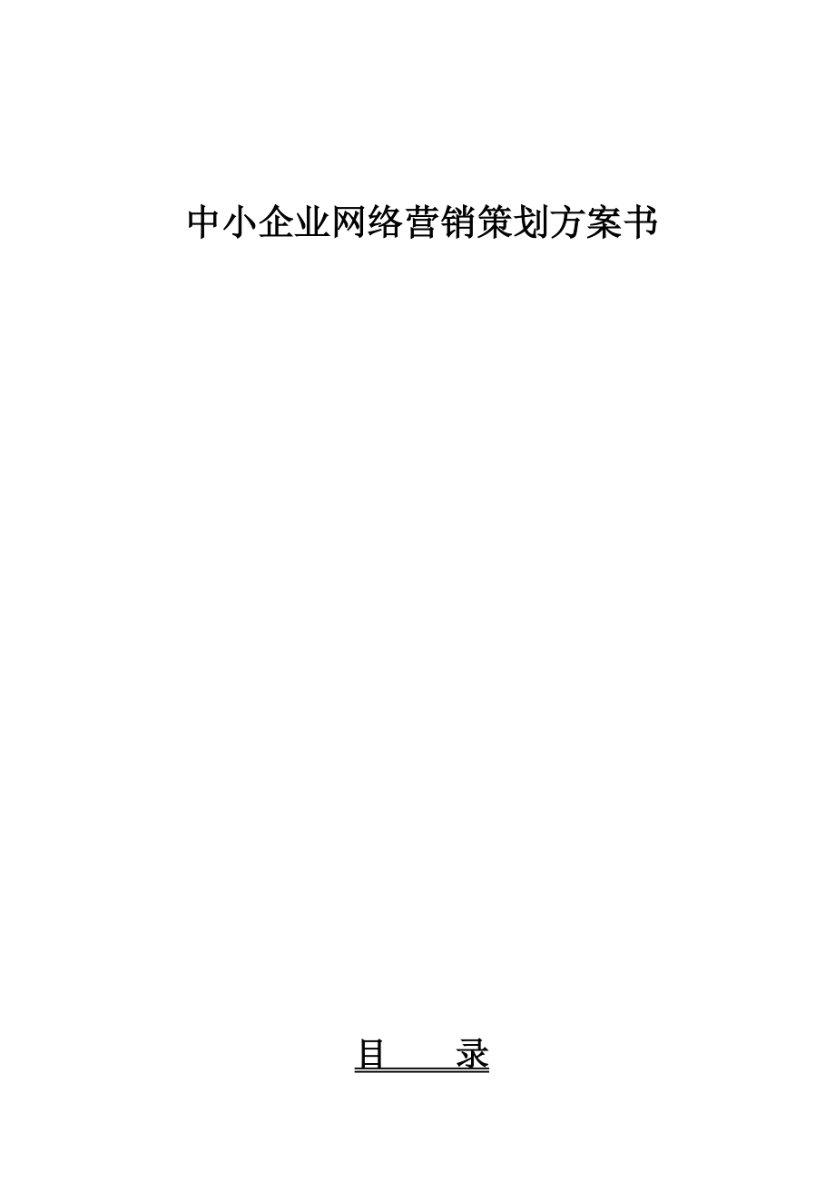 中小企业互联网应用-全面解决方案.docx_第1页