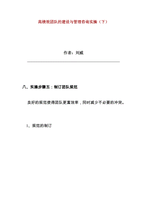 高绩效团队的建设与管理咨询.docx