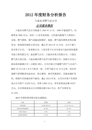 某燃气公司年度财务分析报告.docx