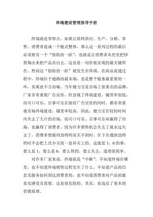 终端建设管理指导书.docx