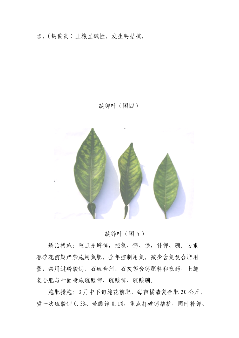 果园诊断分析与对应措施及施肥方案.docx_第2页