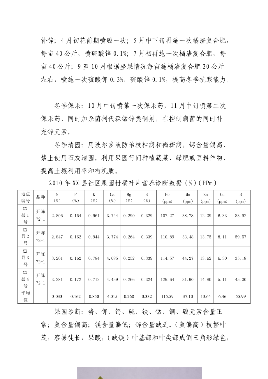 果园诊断分析与对应措施及施肥方案.docx_第3页