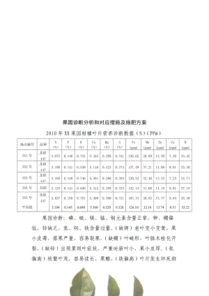 果园诊断分析与对应措施及施肥方案.docx