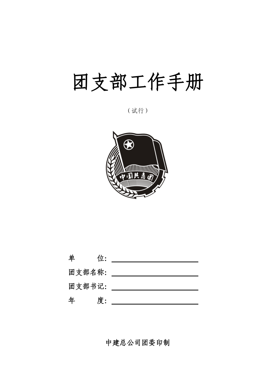 中建分公司团支部工作手册.docx_第1页