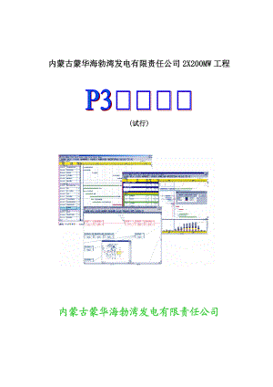 蒙华海电工程P3管理手册.docx