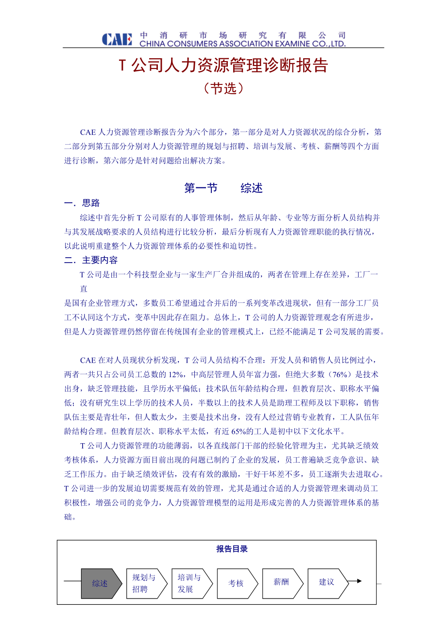 集团公司人力资源诊断报告大全.docx_第1页