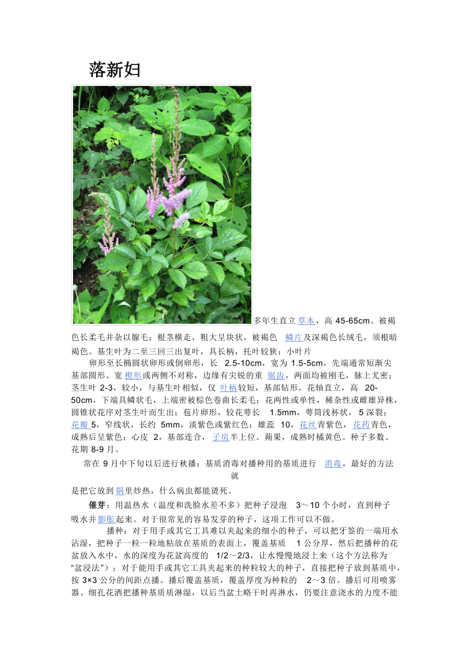 花卉相关资料汇总.docx_第2页