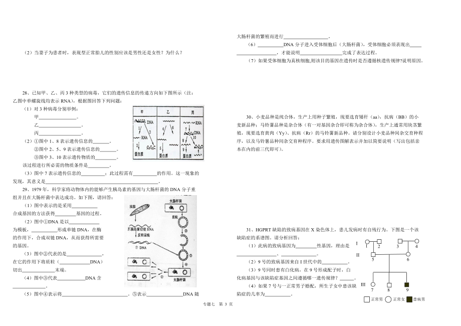 浏览该文件-专题七遗传及基因工程.docx_第3页