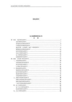 某咨询_房地产开发有限公司职务说明书_178页.docx