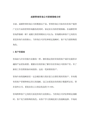 成都管理咨询公司营销策略分析.docx