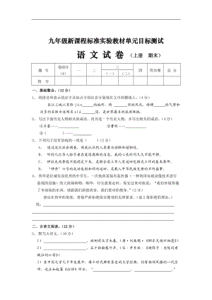 九年级新课程标准实验教材单元目标测试.docx