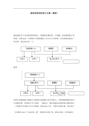 公司股权结构顶层设计方案(案例).docx