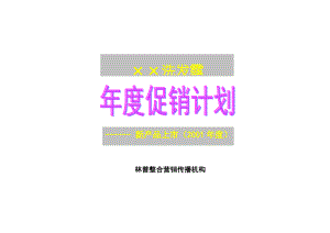 某洗发露产品年度促销计划.docx