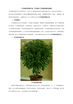 家庭常见观赏花木的养殖方法和注意事项.docx