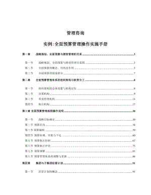 管理咨询全面预算操作手册实例.docx