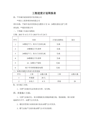 某市建设投资公司工程进度计划周报表.docx