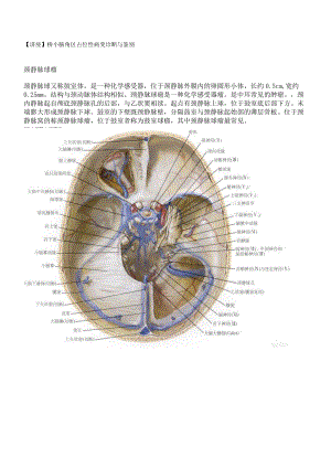 桥小脑角占位性病变诊断与鉴别.docx