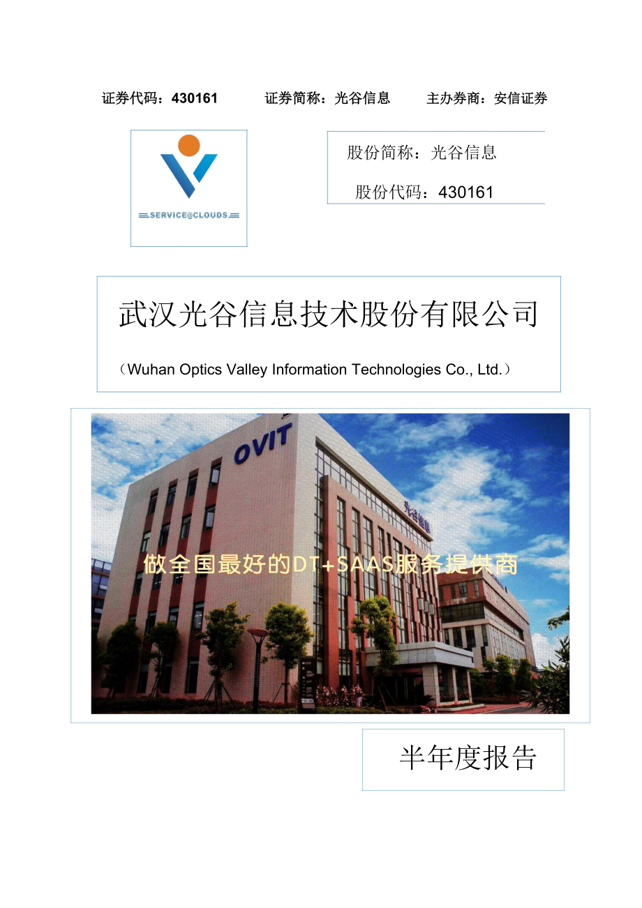 某信息技术股份有限公司半年度报告.docx_第1页