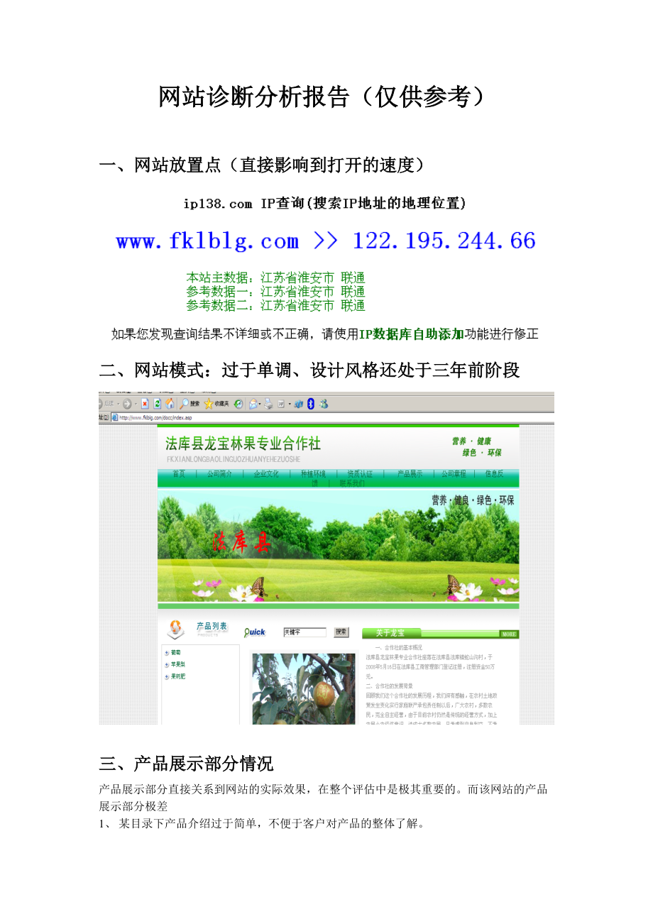 沈阳网站诊断分析报告1(仅供参考).docx_第1页