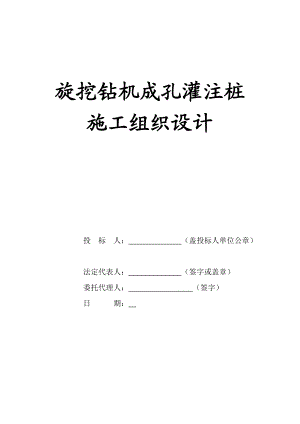 旋挖钻机成孔灌注桩施工组织设计.docx