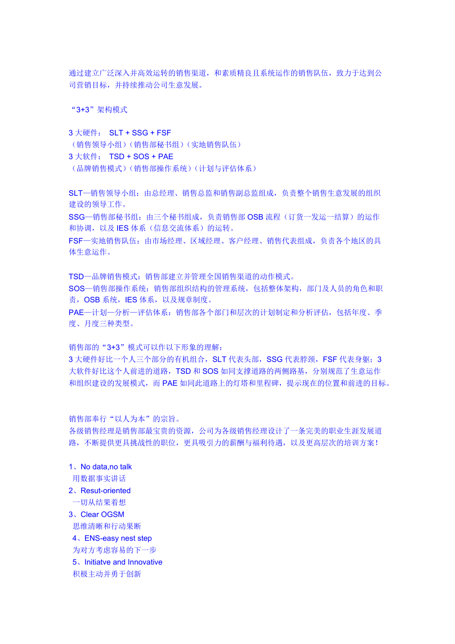 品牌销售团队管理方案分析.docx_第2页