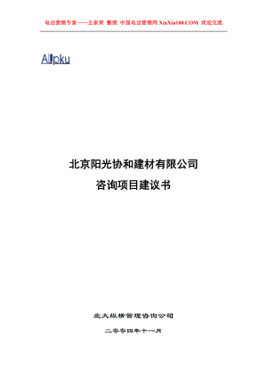 王家荣某咨询—北京某建材公司咨询项目计划书.docx