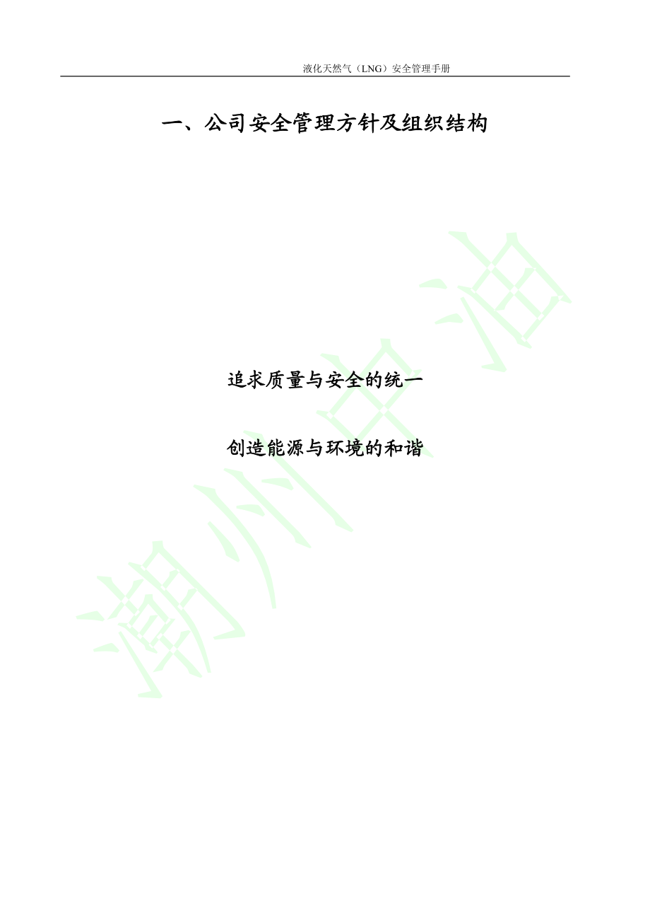 潮州LNG站安全管理手册(试行).docx_第3页