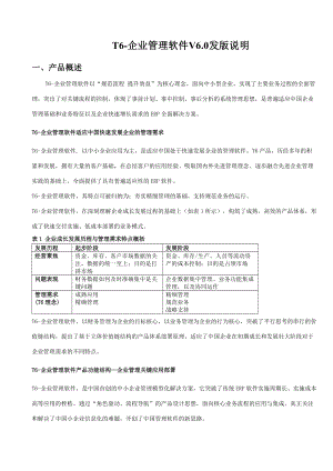 T6-企业管理软件V60上市说明95461374.docx