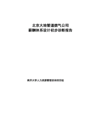 大地公司初步诊断报告（正式）(doc 36页).docx