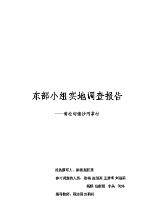 黄松甸镇沙河掌村实地调查报告.docx