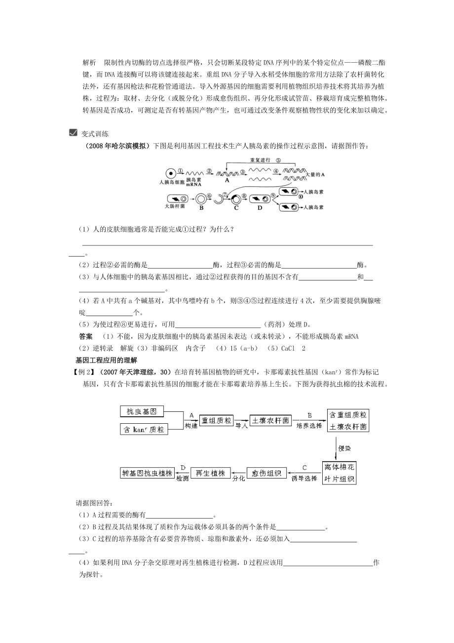 第34课时 基因工程.docx_第3页