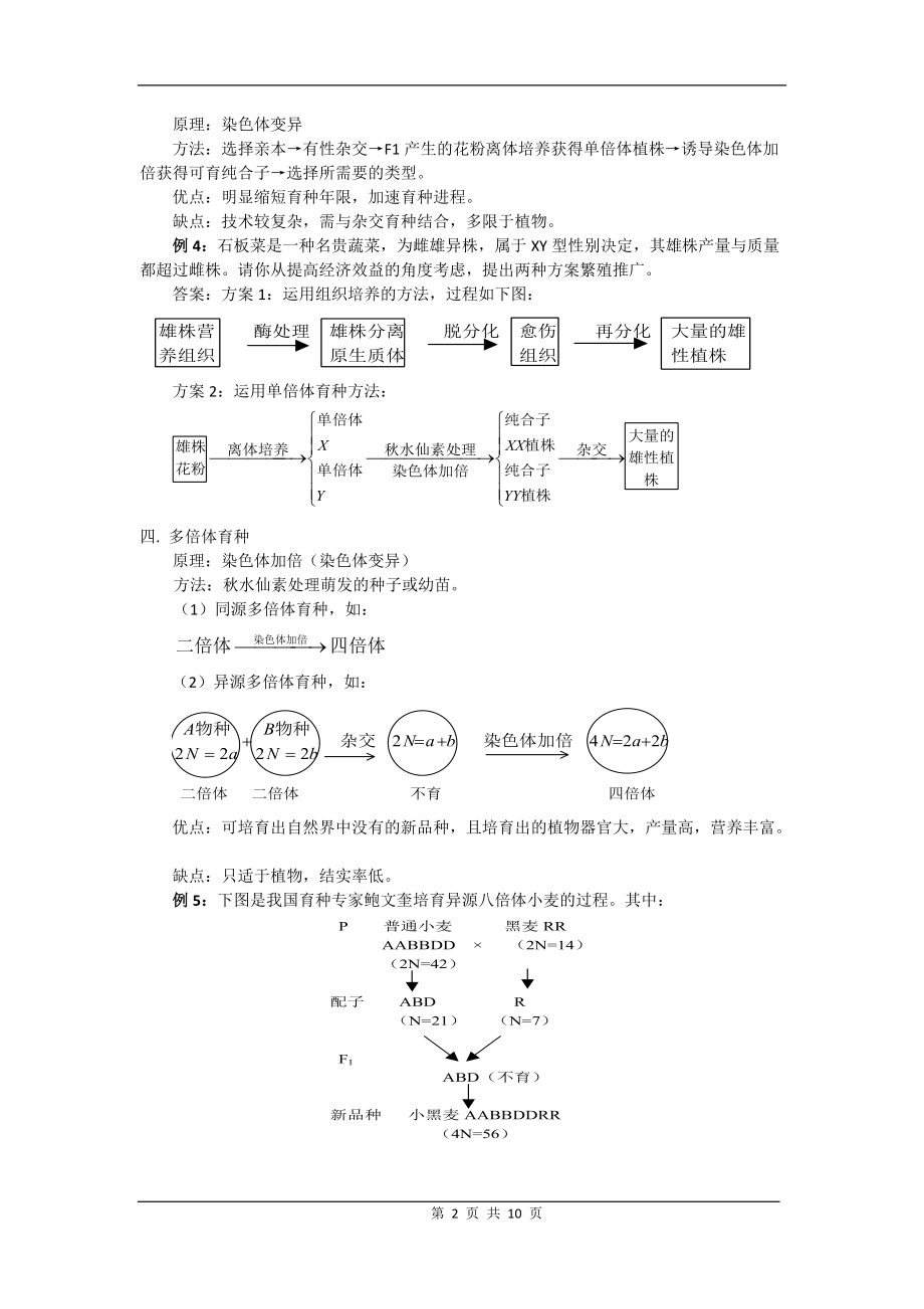 从杂交育种到基因工程.docx_第2页