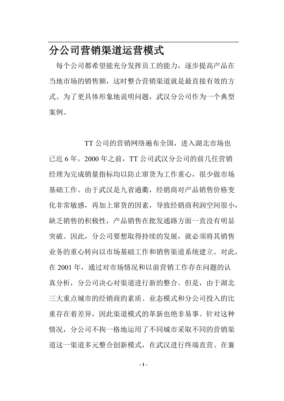 某某分公司营销渠道运营模式案例.docx_第1页