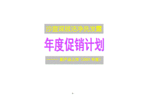 某知名洗发露产品年度促销计划.docx