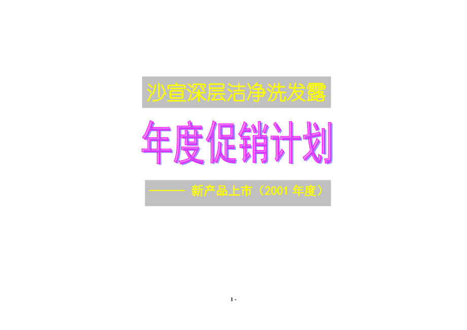 某知名洗发露产品年度促销计划.docx_第1页