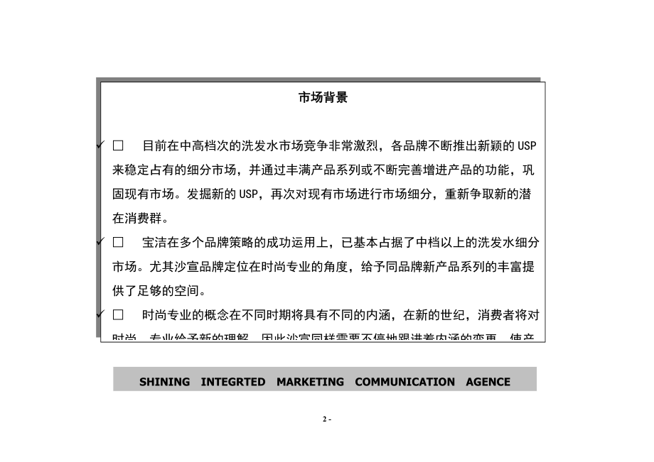 某知名洗发露产品年度促销计划.docx_第2页