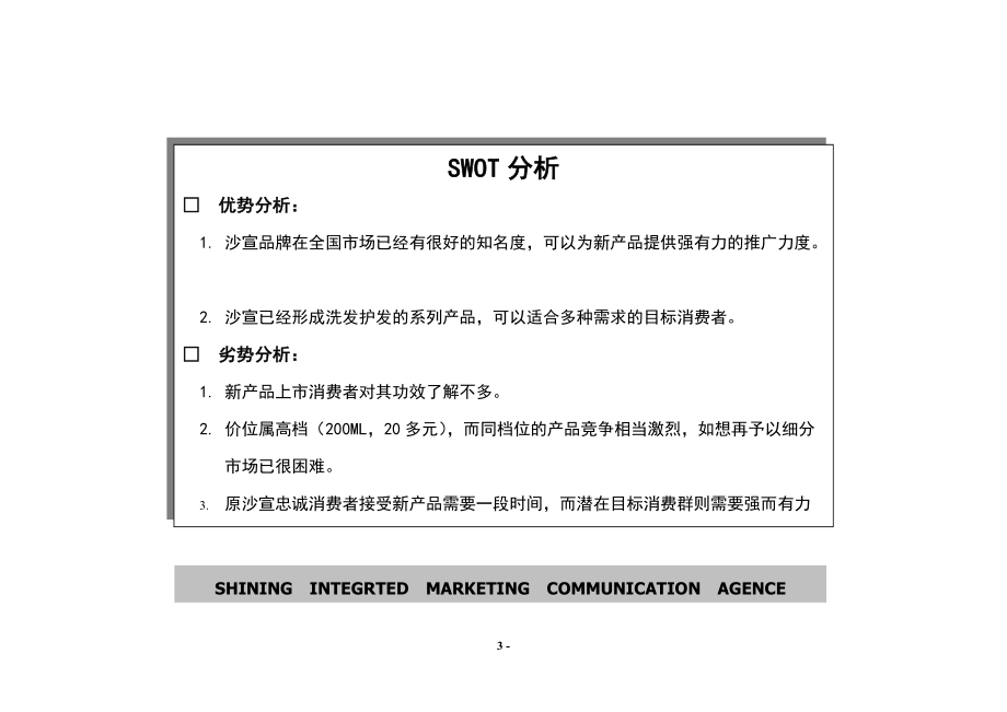 某知名洗发露产品年度促销计划.docx_第3页